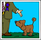 dogshow
