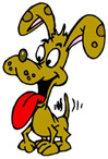 tandog3
