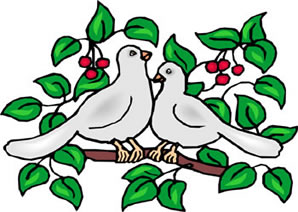 doves